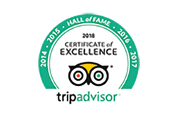 Gemini Sailing on Trip Advisor badge