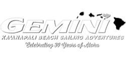 Gemini Sailing Logo